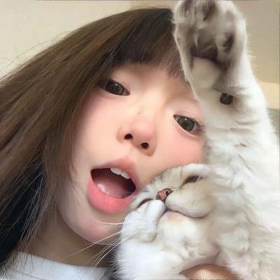 小猫虎子